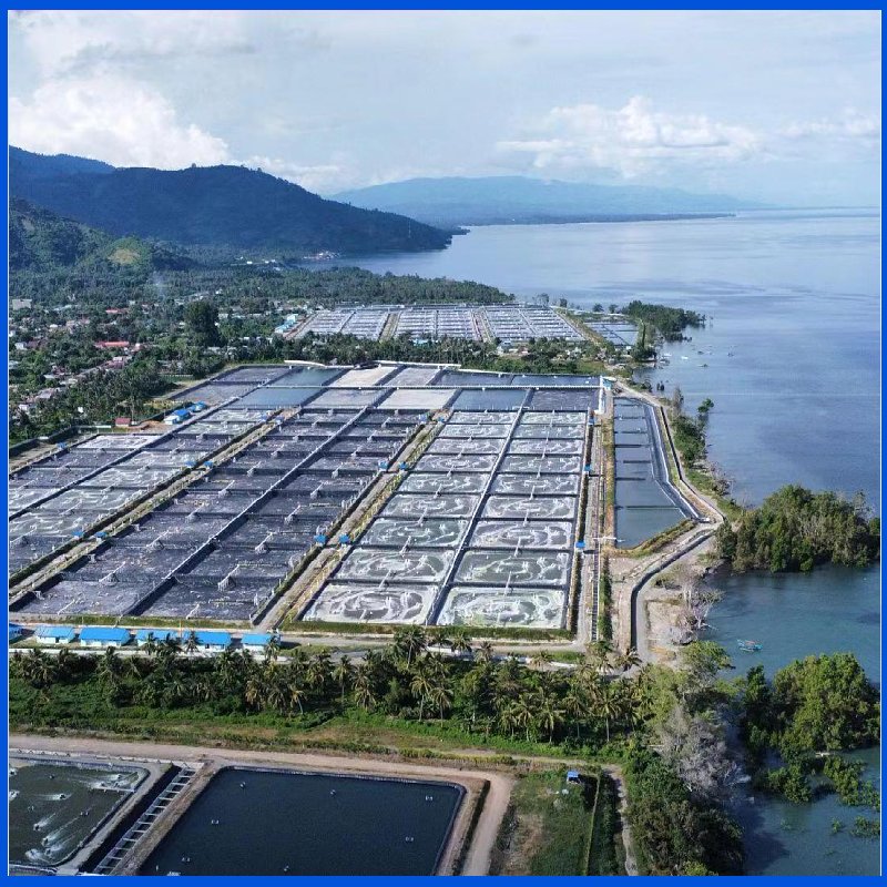 Smooth Textured HDPE Waterproof Geomembrane for Dam Liner Fish Farm Shrimp Pond Liner, Slurry Lagoon and Landfill