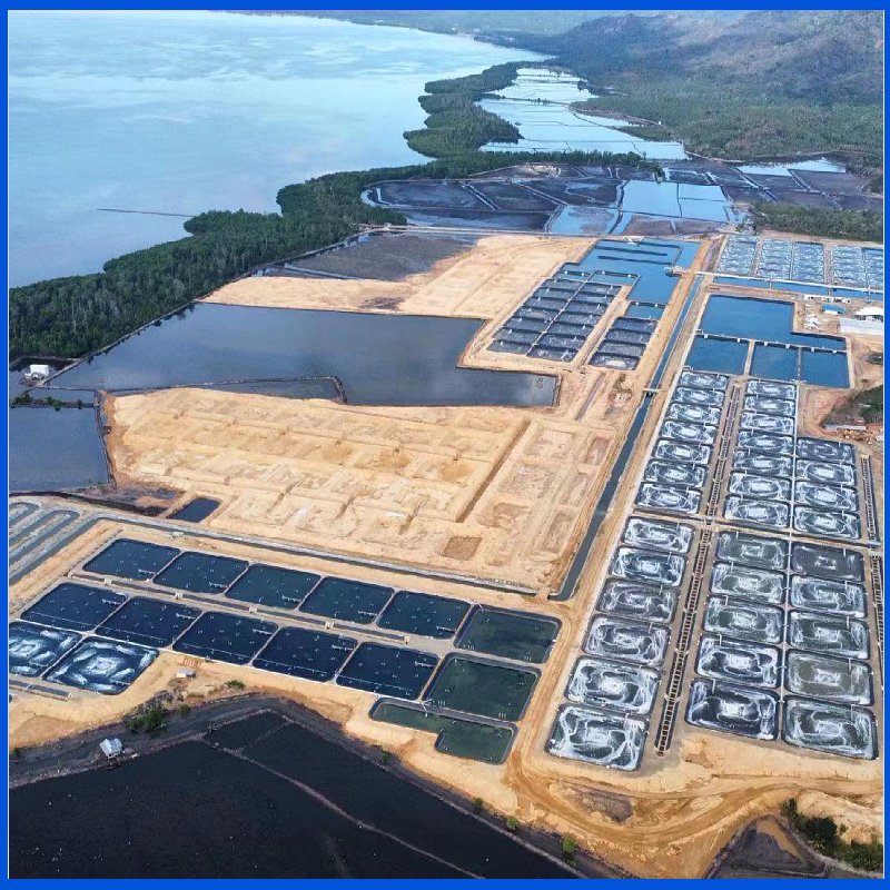 Smooth Textured HDPE Waterproof Geomembrane for Dam Liner Fish Farm Shrimp Pond Liner, Slurry Lagoon and Landfill