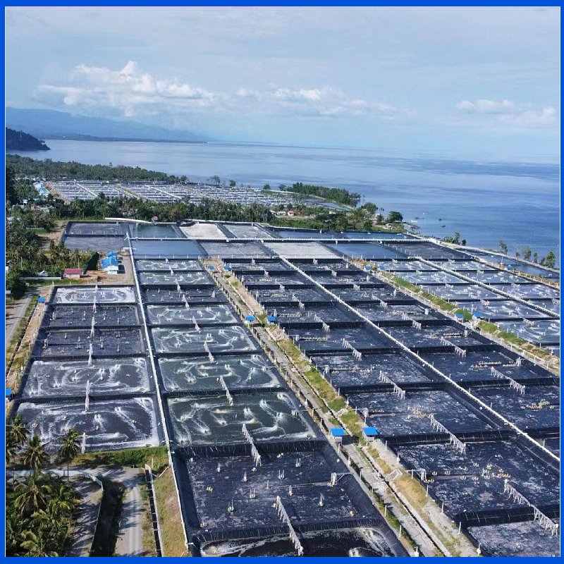 Smooth Textured HDPE Waterproof Geomembrane for Dam Liner Fish Farm Shrimp Pond Liner, Slurry Lagoon and Landfill