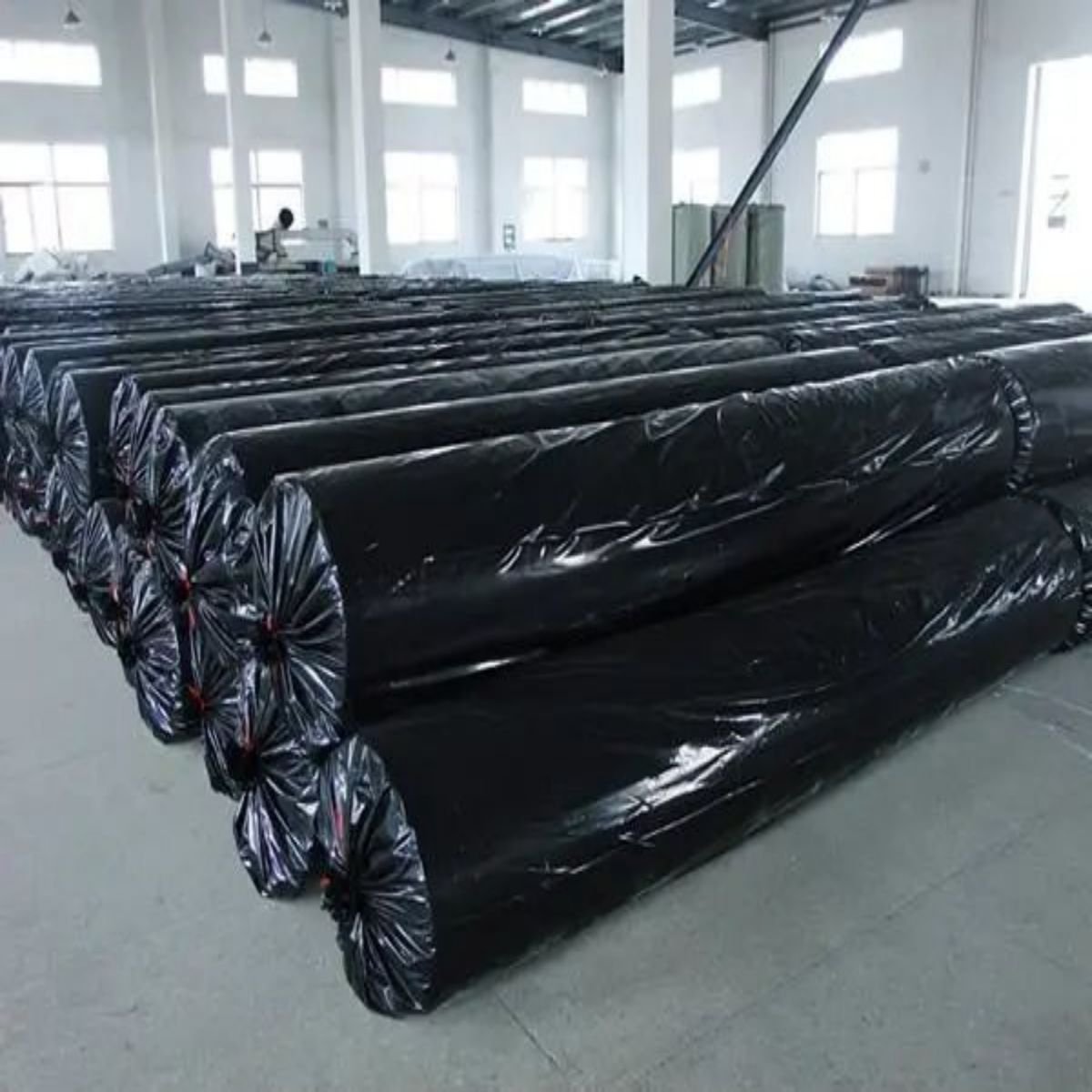 Geomembrane 1mm Hdpegeomembrane Hdpe 1 mm for Biogas Digester in Thailand