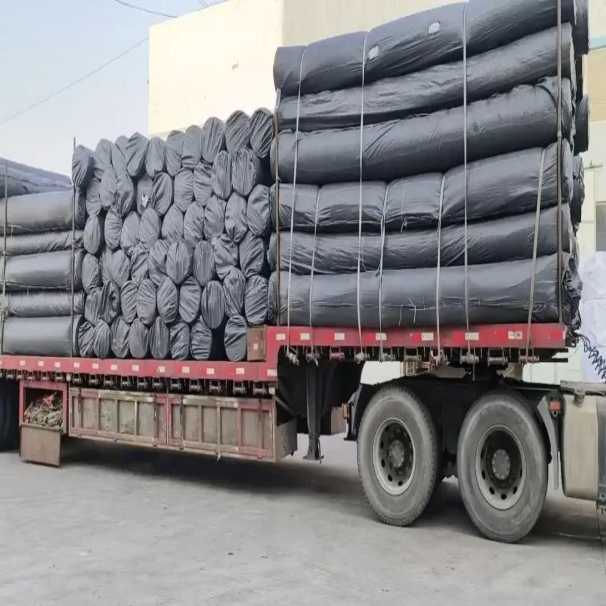Geomembrane 1mm Hdpegeomembrane Hdpe 1 mm for Biogas Digester in Thailand