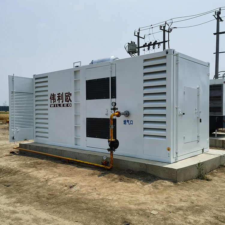 Equipped With High-End Monitoring System KTA19 High Temperature Resistance 350KW Natural Gas Generator
