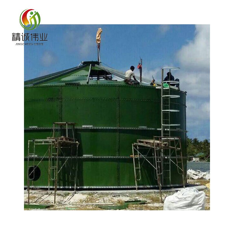 China biogas plant /mini waste treatment plant storage tank
