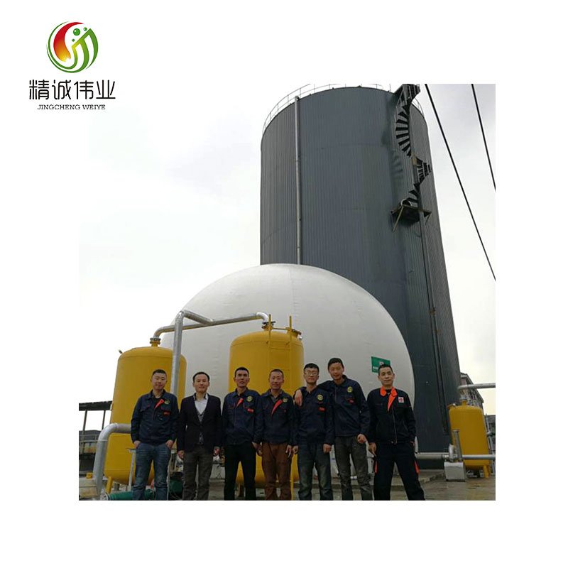 China biogas plant /mini waste treatment plant storage tank