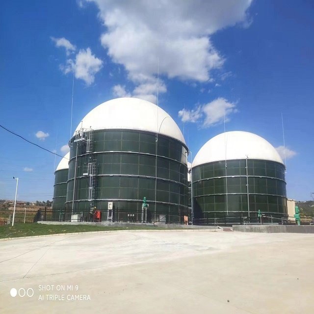 GFS Assembly Biodigester Biogas Plant Turning Human Waste/Livestock Manure&Agriculture Waste Into Cooking Gas And Electricity