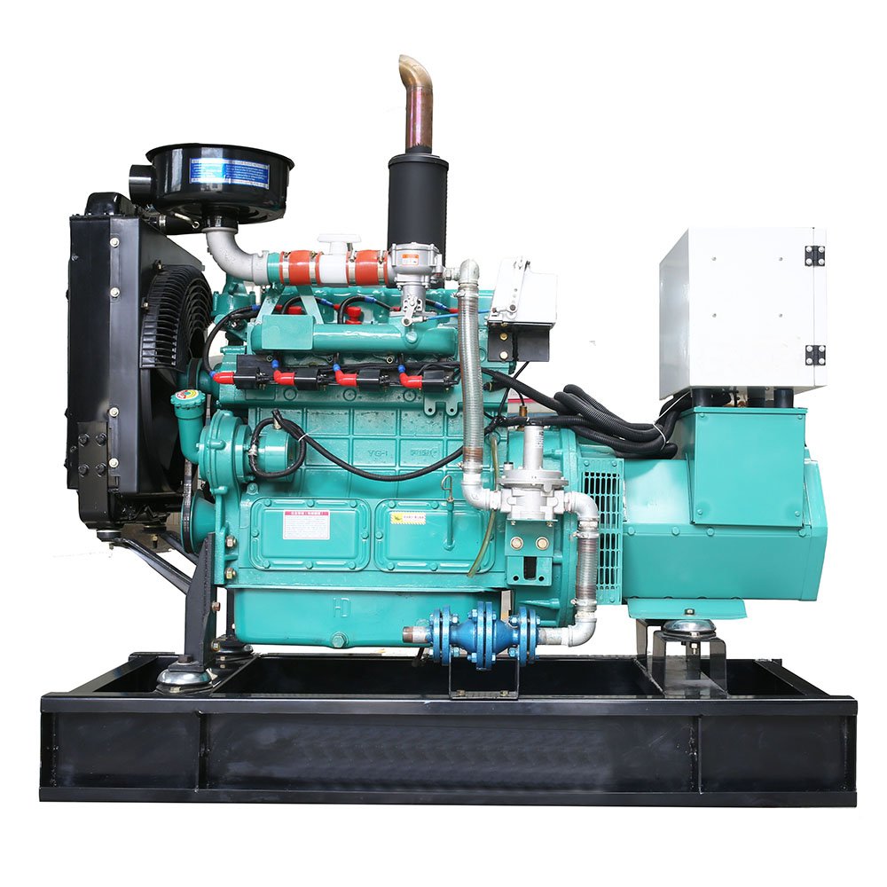 Clean Energy Biogas Gas CHP CCHP Power Plant Electrical High Efficiency Powered Propane Biogas Generator