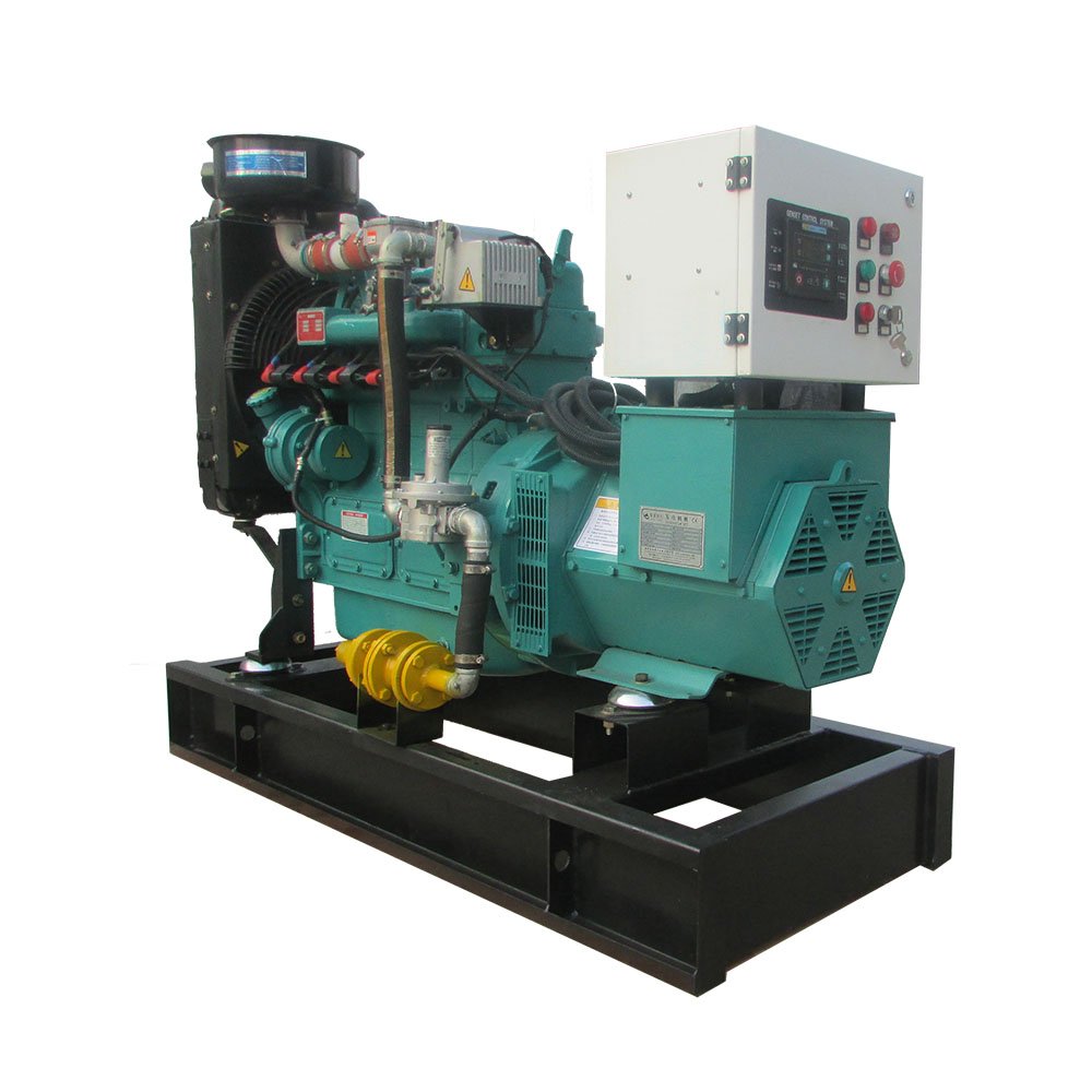 Clean Energy Biogas Gas CHP CCHP Power Plant Electrical High Efficiency Powered Propane Biogas Generator