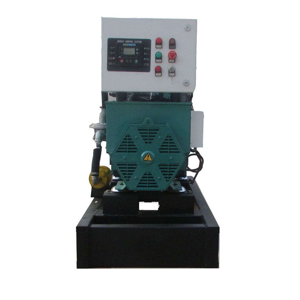 Clean Energy Biogas Gas CHP CCHP Power Plant Electrical High Efficiency Powered Propane Biogas Generator