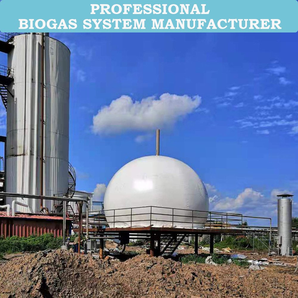 Qingdao HaiYue Biogas Factory Biogaz Storage Bag Top Biodigester Bio Gas Plant
