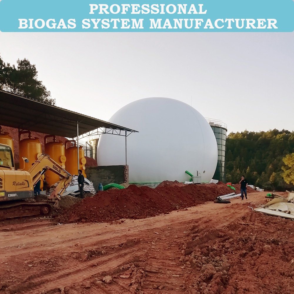 Qingdao HaiYue Biogas Factory Biogaz Storage Bag Top Biodigester Bio Gas Plant