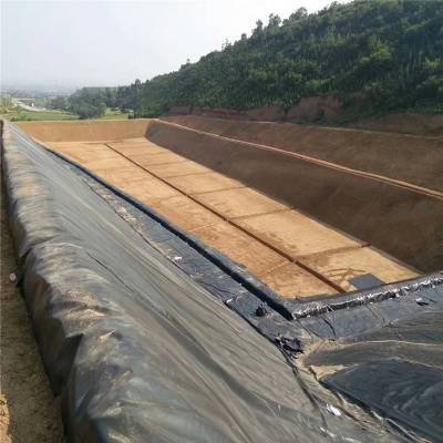 HDPE Smooth and Textured Geomembrane for Landfill Liners Tank Liners/Waterproofing Membrane Fish Pond HDPE Geomembrane Liner