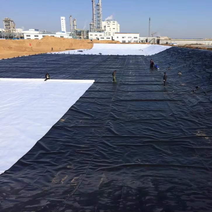 HDPE Smooth and Textured Geomembrane for Landfill Liners Tank Liners/Waterproofing Membrane Fish Pond HDPE Geomembrane Liner