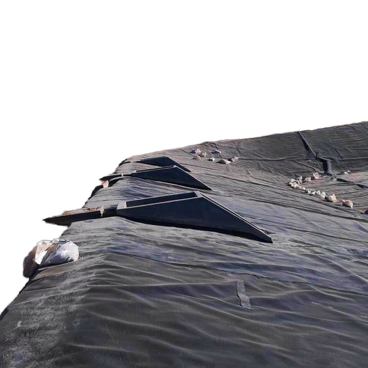 Premium 2mm HDPE Geomembranes Pond Liner at Competitive Price Geomembrane Pond Biogas