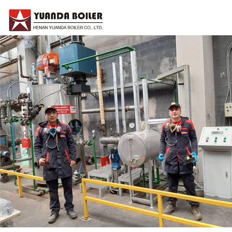 Automatic Small 300kg per hour Low Pressure Steam Boiler in Tomato Paste