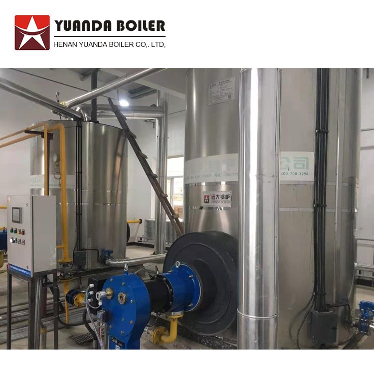Automatic Small 300kg per hour Low Pressure Steam Boiler in Tomato Paste