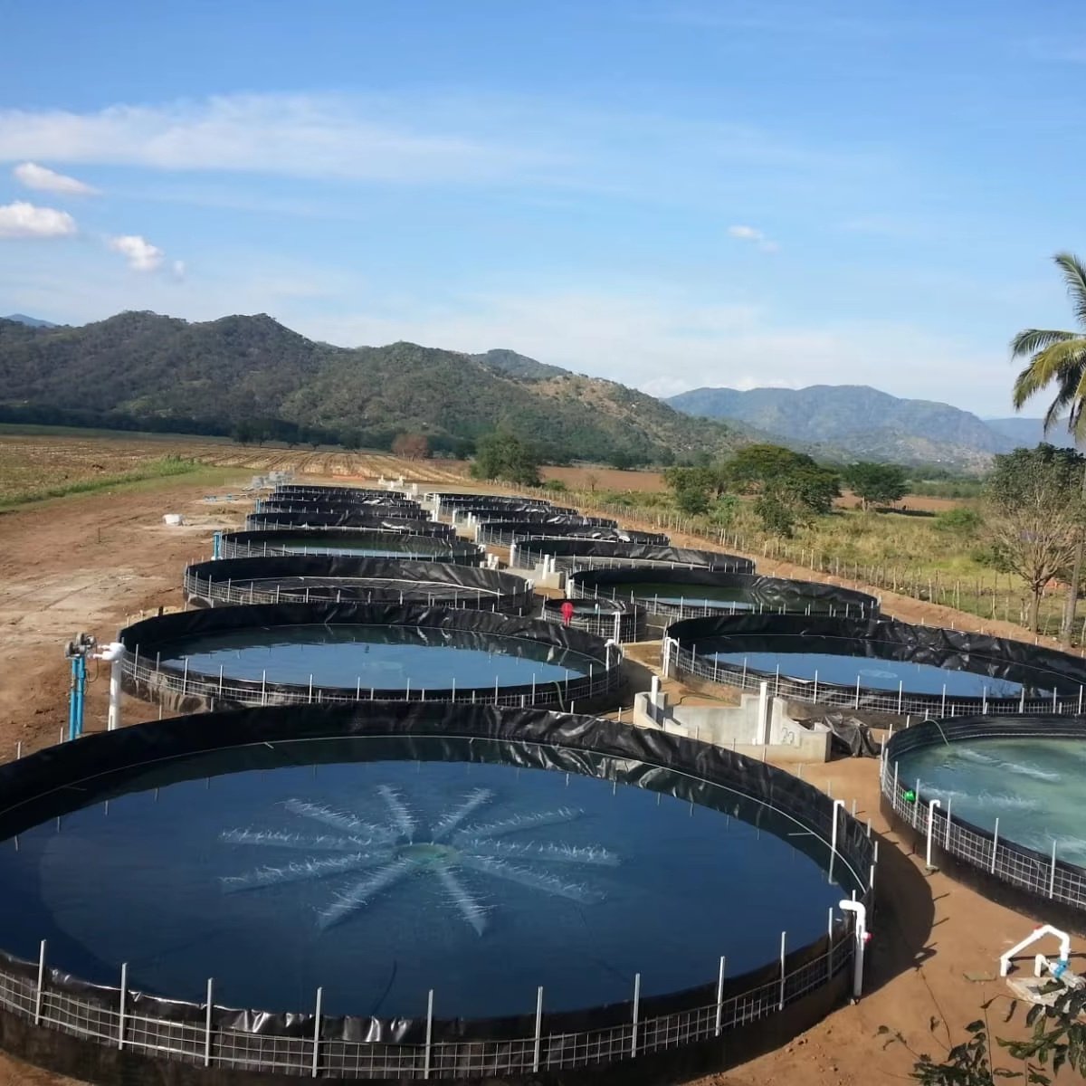 1.5mm Landfill mining HDPE geomembrane liners 1.0mm 0.75mm 2.0mm landfill geomembrane damliner Biogas digester liner gold mine