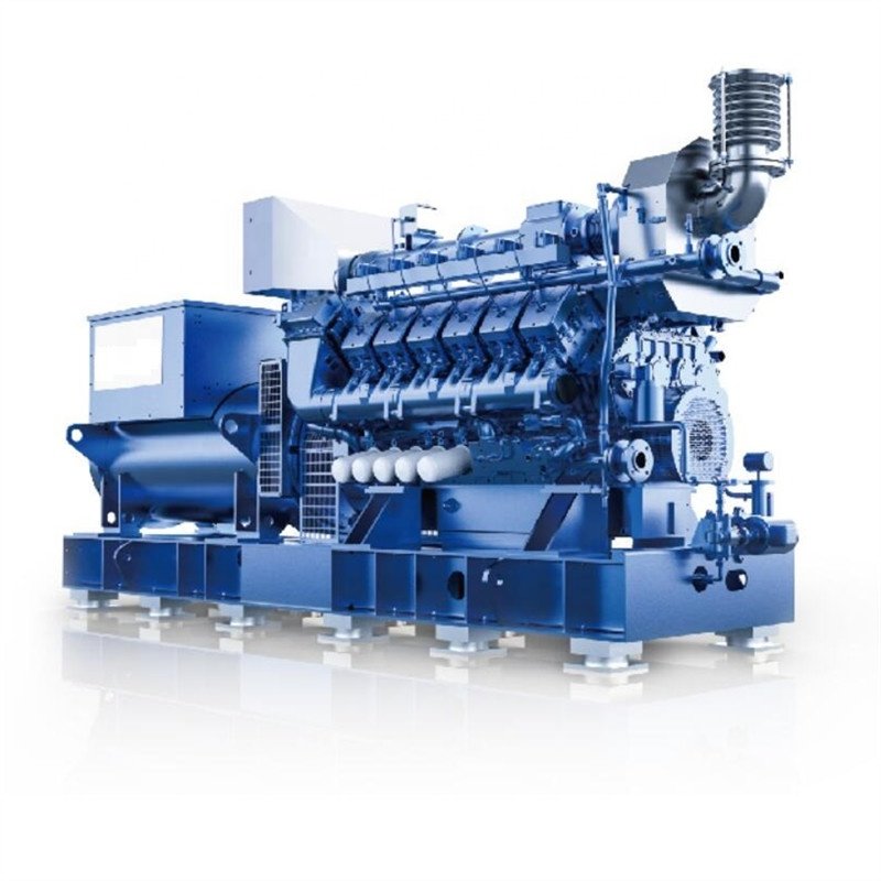Over 41% efficiency gas engine 1000KW biogas plant 1mwh biogas generator