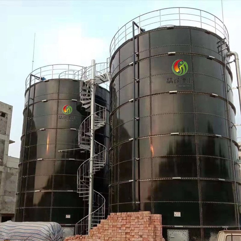 anaerobic digester with biogas lamp and biogas analyzer