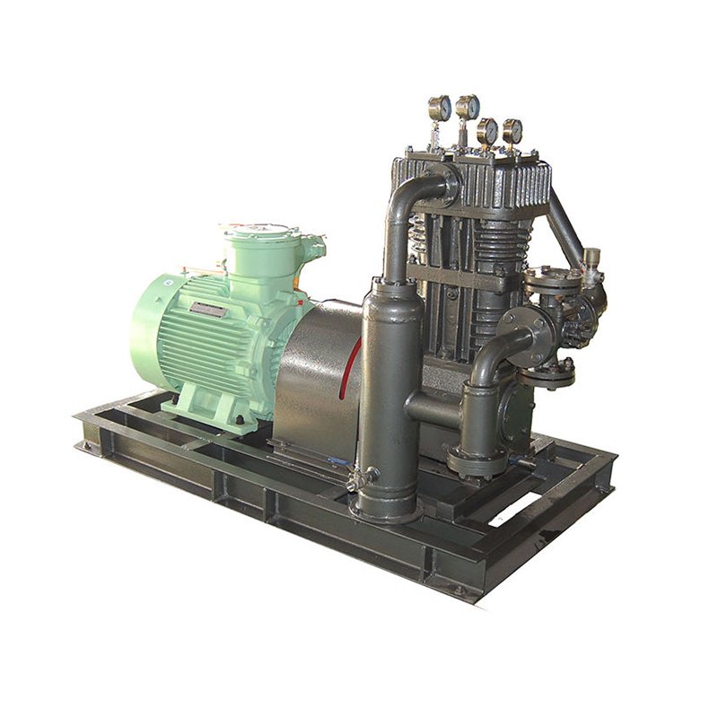 CH4 Gas Compressor Biogas to Cng Machine Biogasr Compression