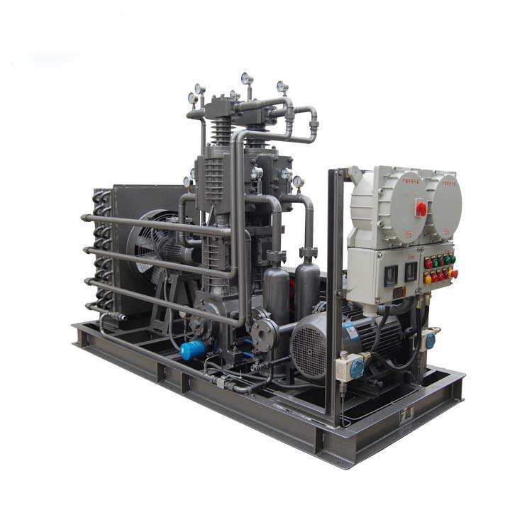 CH4 Gas Compressor Biogas to Cng Machine Biogasr Compression