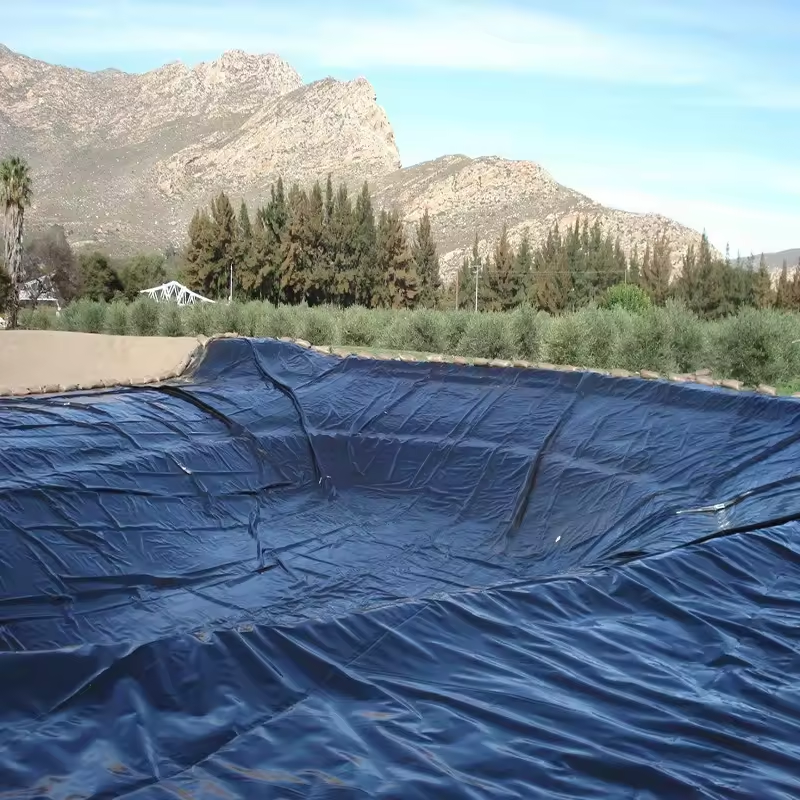 hdpe sheet geomembranes plastic fish pond liner farmed shrimp
