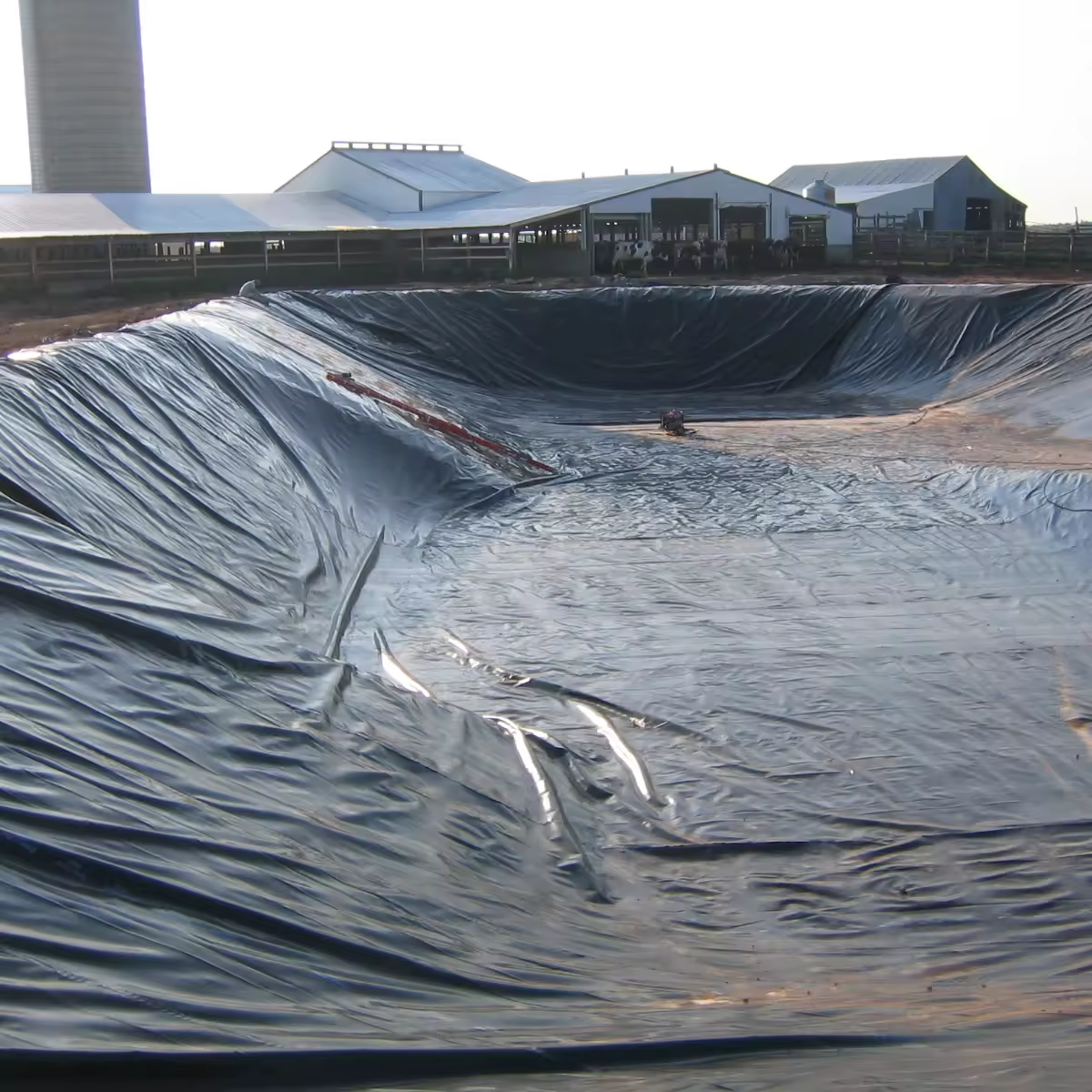 hdpe sheet geomembranes plastic fish pond liner farmed shrimp