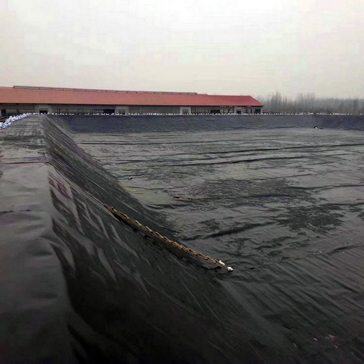 Waterproof lining HDPE Geomembrane 0.5mm 0.75mm Pond Liner landfill project and fishery fish and shrimp farming