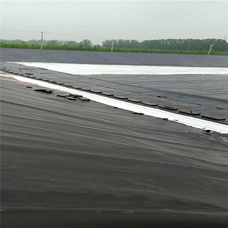 Waterproof lining HDPE Geomembrane 0.5mm 0.75mm Pond Liner landfill project and fishery fish and shrimp farming