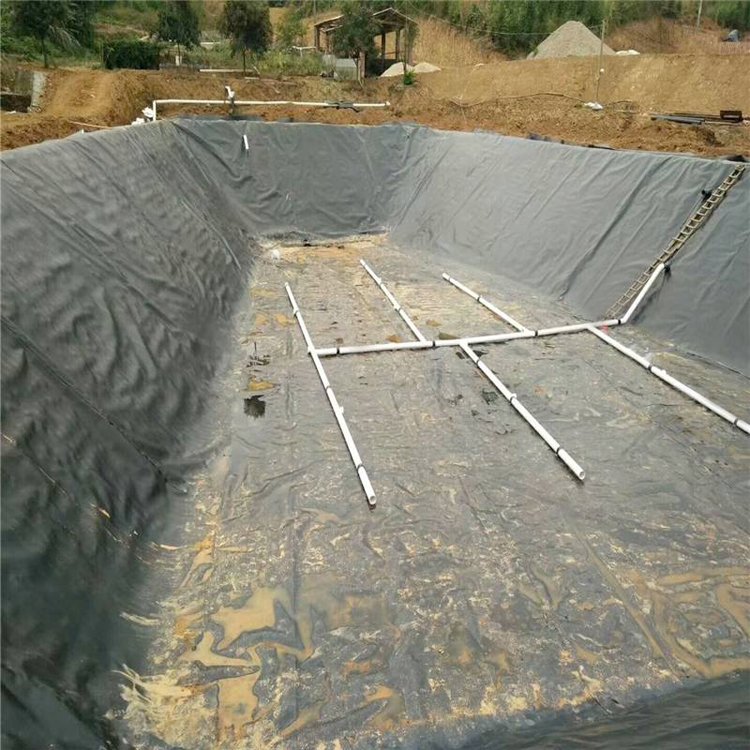 Waterproof lining HDPE Geomembrane 0.5mm 0.75mm Pond Liner landfill project and fishery fish and shrimp farming