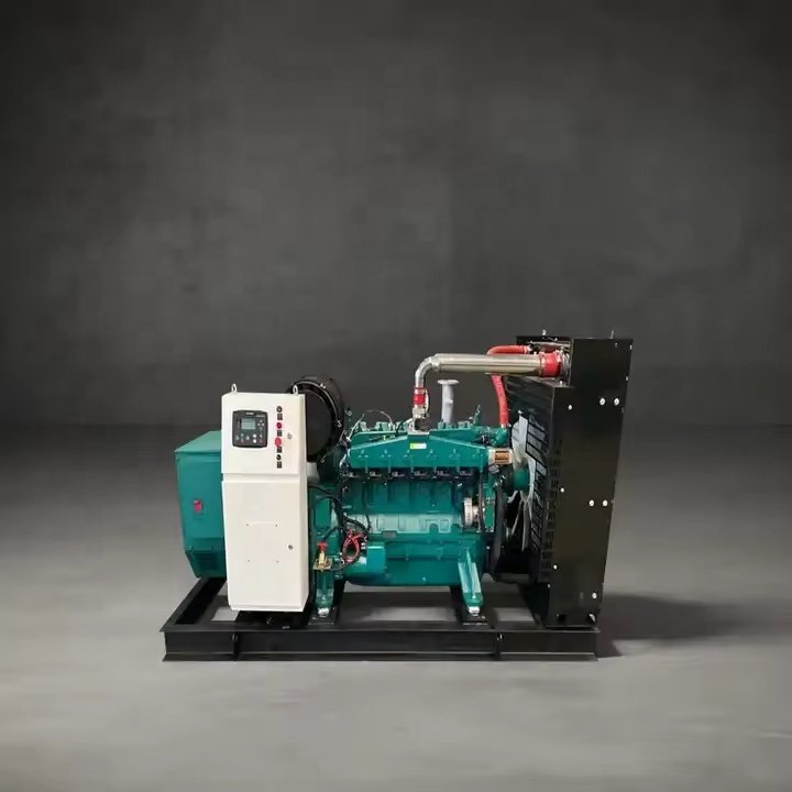 10KW to 2000KW Natural Gas Biogas CNG LNG Methane Generator with CHP and Biogas Purification for LPG Use