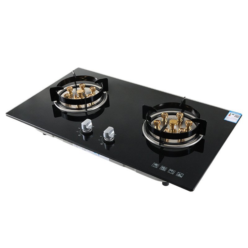 built in 2 burner biogas stove double burner equipment appliance accessories