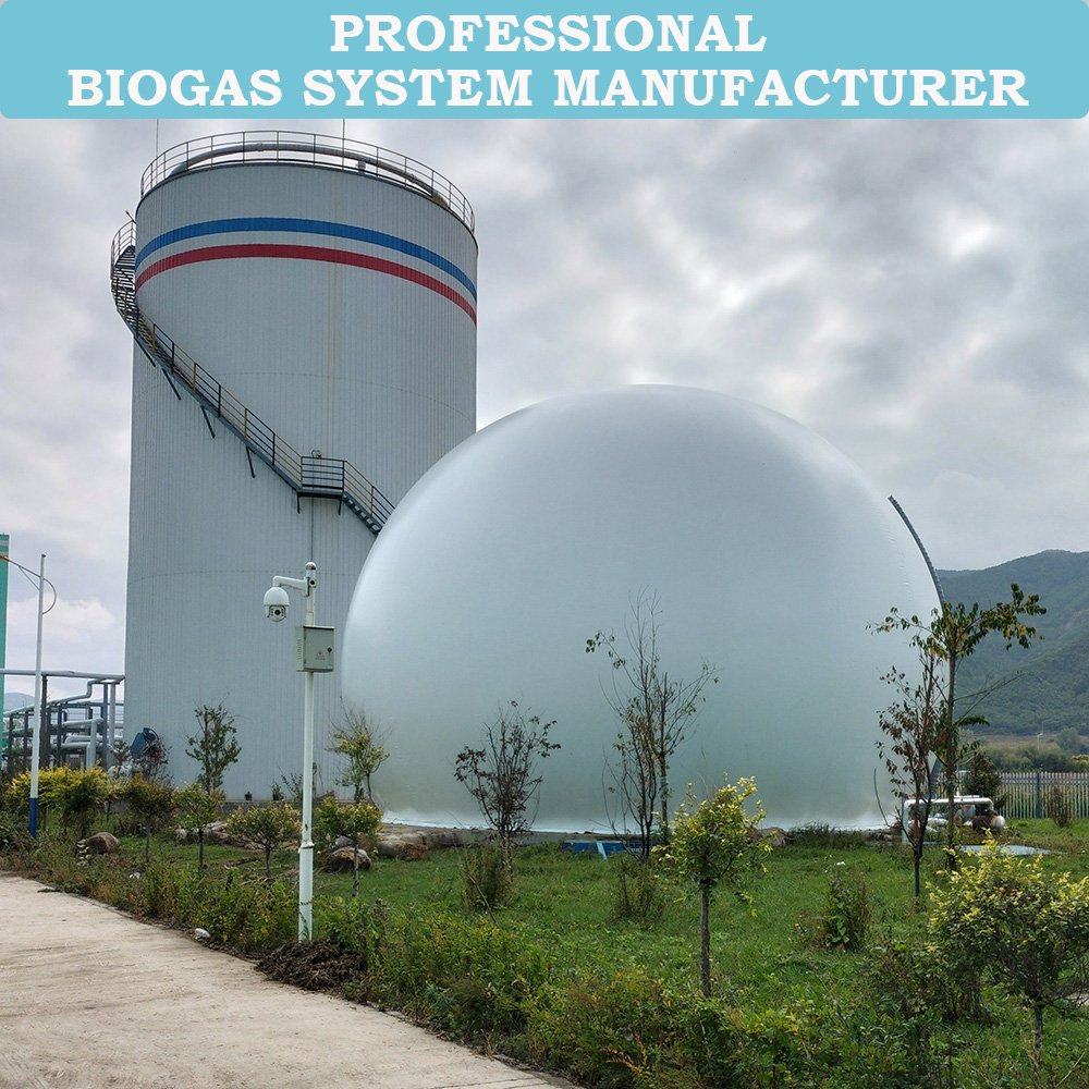 HaiYue Factory cow manure biogas GFS bolted tank