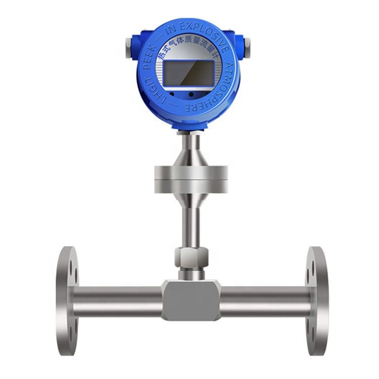 smart co2 n2 biogas gas mass flow meter 3 inches Thermal gas Mass flow meter lpg analog gas mass flowmeter
