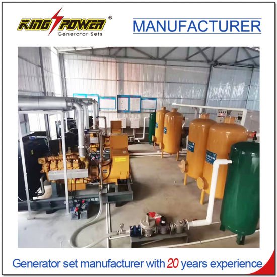 New Type King Power 250kVA 200KW Natural gas genset Professional Supplier of Biogas generator Natural Gas Generator Set