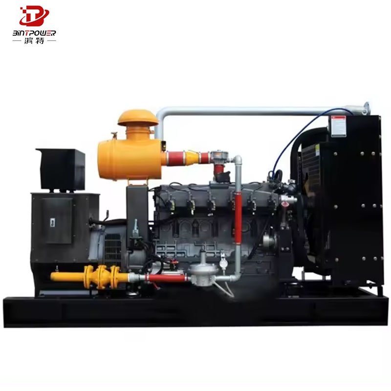 Biogas/Natural Gas/LPG Generator CUMMINS 100kw 200kw Gas Generator with Clean Energy