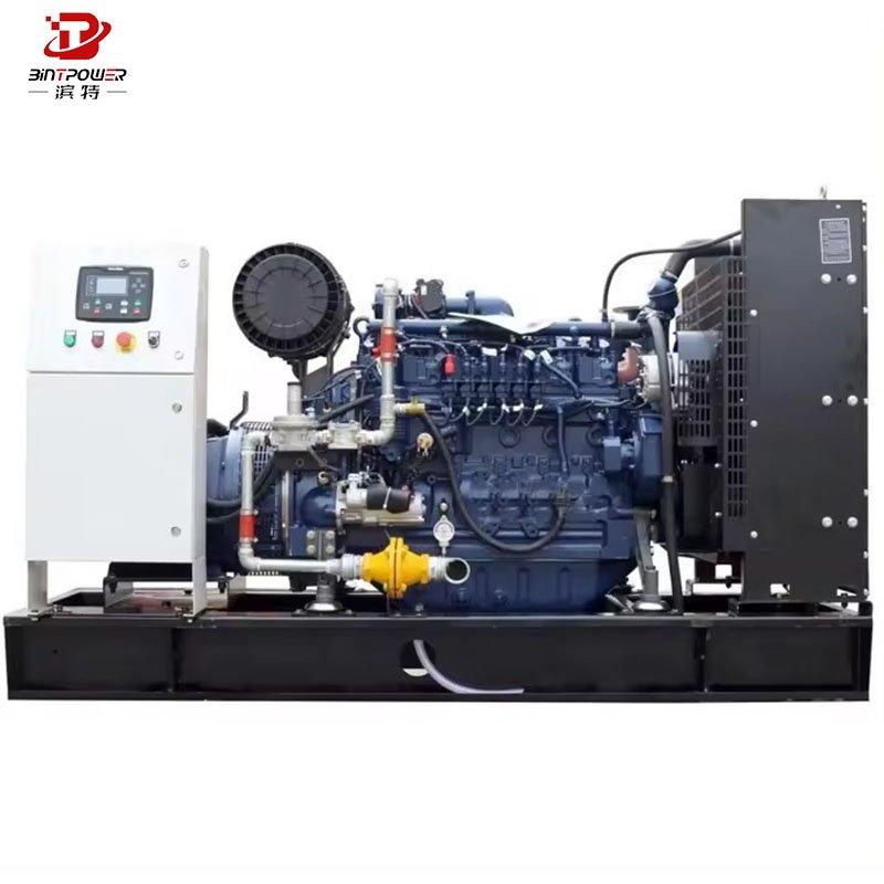 Biogas/Natural Gas/LPG Generator CUMMINS 100kw 200kw Gas Generator with Clean Energy