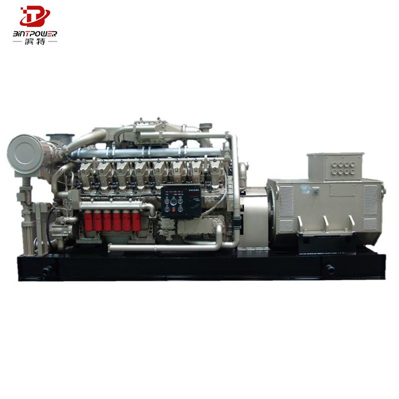 Biogas/Natural Gas/LPG Generator CUMMINS 100kw 200kw Gas Generator with Clean Energy