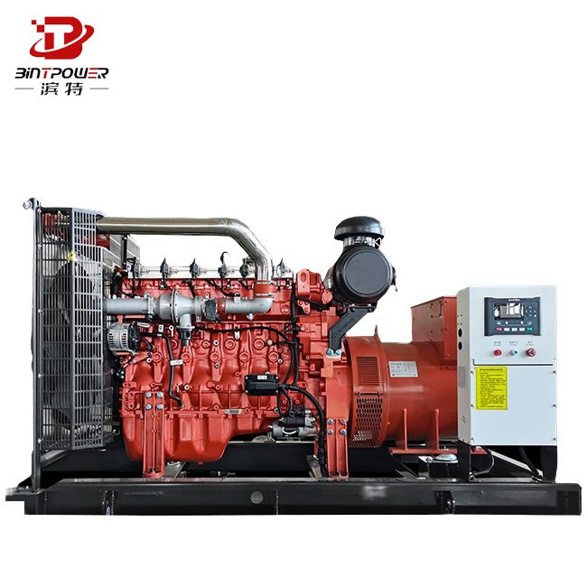 Biogas/Natural Gas/LPG Generator CUMMINS 100kw 200kw Gas Generator with Clean Energy