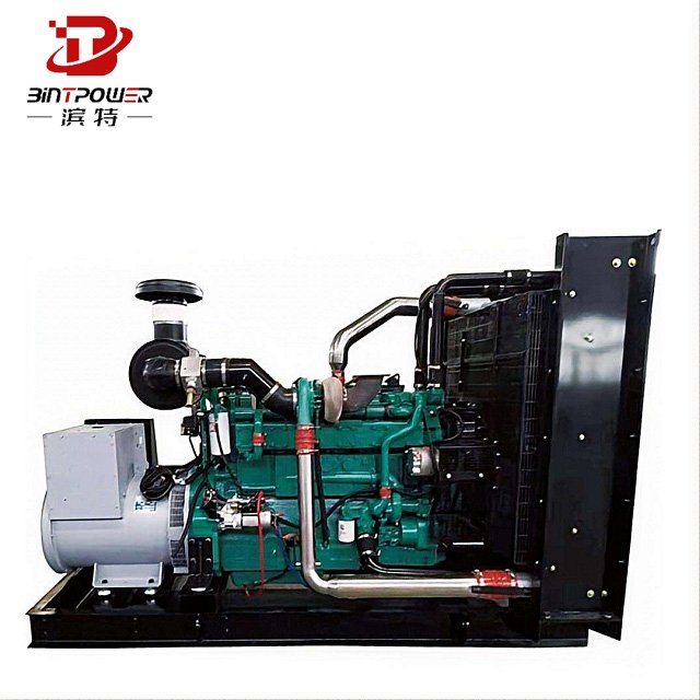 Biogas/Natural Gas/LPG Generator CUMMINS 100kw 200kw Gas Generator with Clean Energy