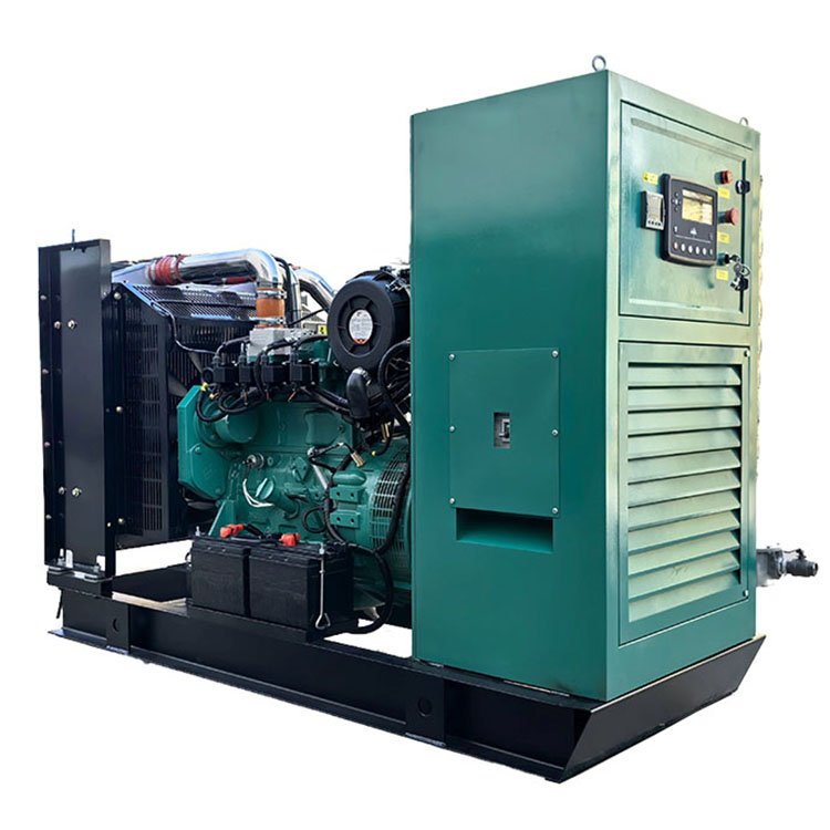 Multi Scenario Application Type High-Power Fast Combustion 50KW Methane Gas Generator