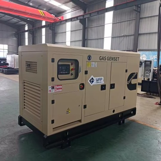 50kw gas natural for electrical supply biogas generator canopy type gas generator Cummins gas genset