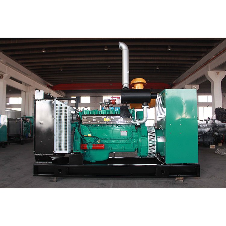 Royal Brand Prime Power 1000kw 1250kva Natural Gas/LPG/BIOGAS FUEL power Generator with CHP approved by ISO CE