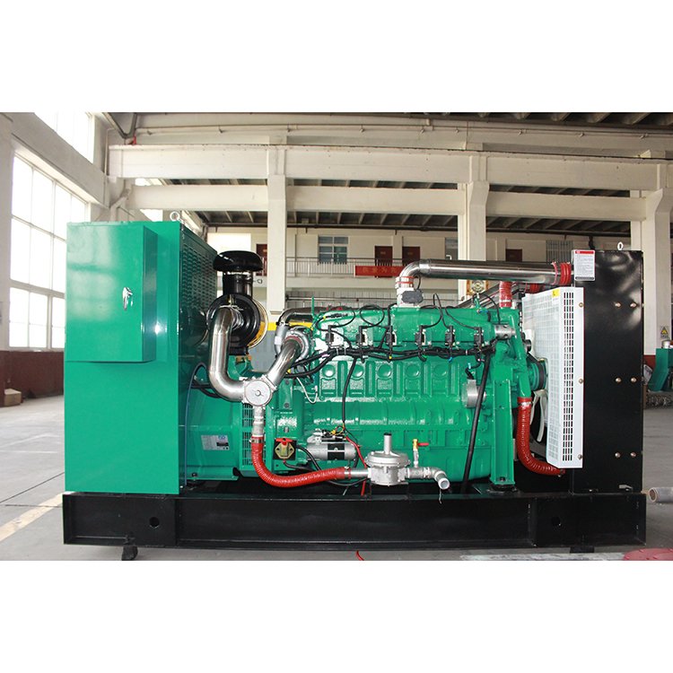 Royal Brand Prime Power 1000kw 1250kva Natural Gas/LPG/BIOGAS FUEL power Generator with CHP approved by ISO CE