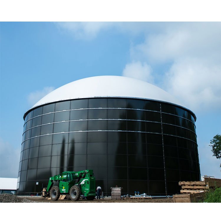 Animal Manure Food Waste Recycling Biogas Plant