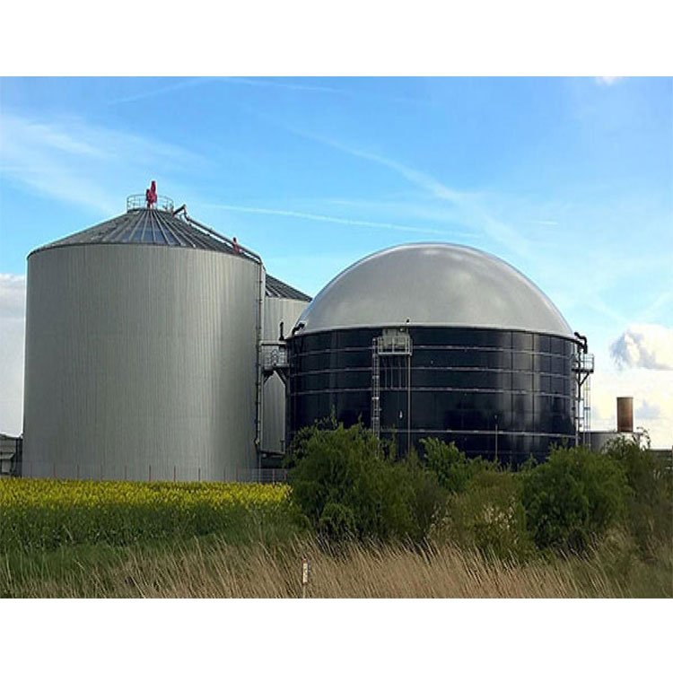 Waste To Energy Biogas To Generate Electricity Power Plant Project