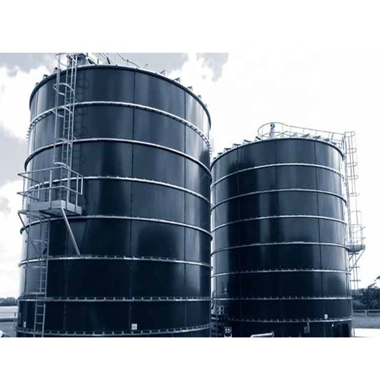 Waste To Energy Biogas To Generate Electricity Power Plant Project