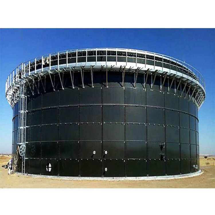 Waste To Energy Biogas To Generate Electricity Power Plant Project