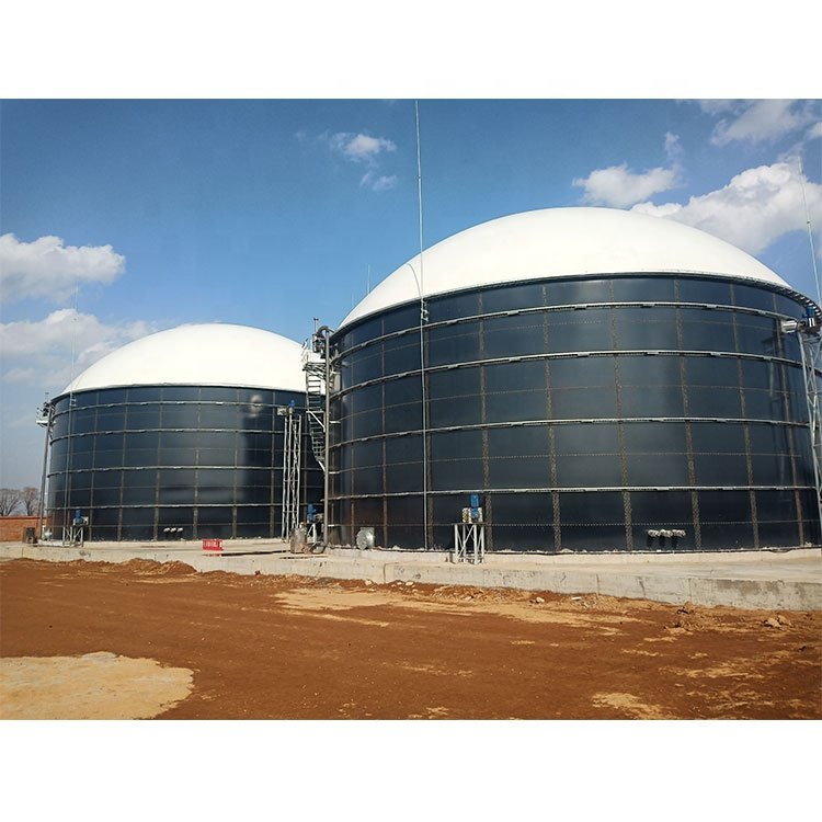 Waste To Energy Biogas To Generate Electricity Power Plant Project