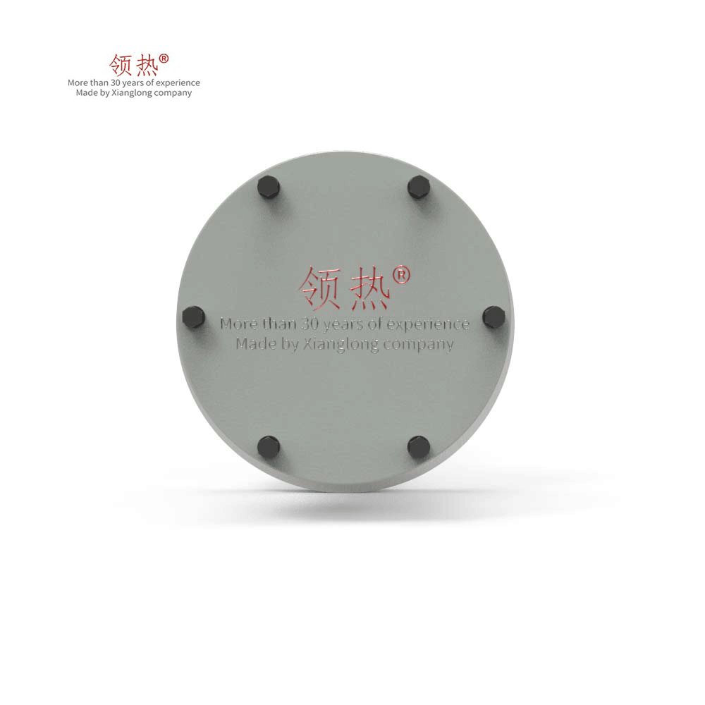 220V 1.2kw or Custom Industrial Explosion-proof flange immersion heater for Biogas/C2H4/CH4/H2