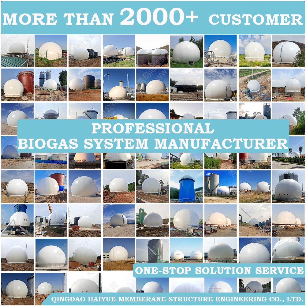 China PVC soft 1m3 biogas storage bag/1mw 1000m3 biogas plant/5kw biogas plant to generate electricity